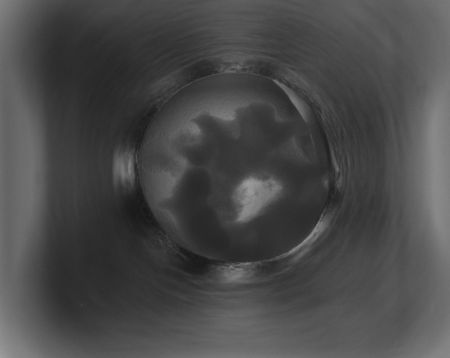 X0000100920094200806241353