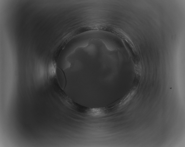 X0000100920095200806241353