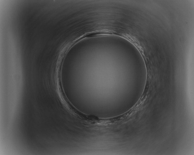 X0000100920097200806241352