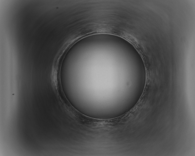 X0000100920098200806241352