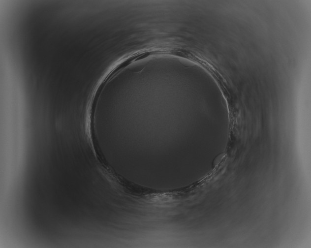 X0000100920100200806241352