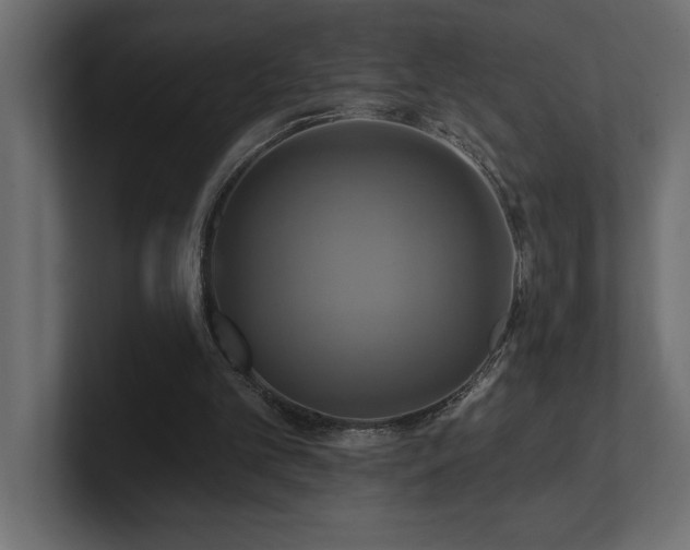 X0000100920101200806241352