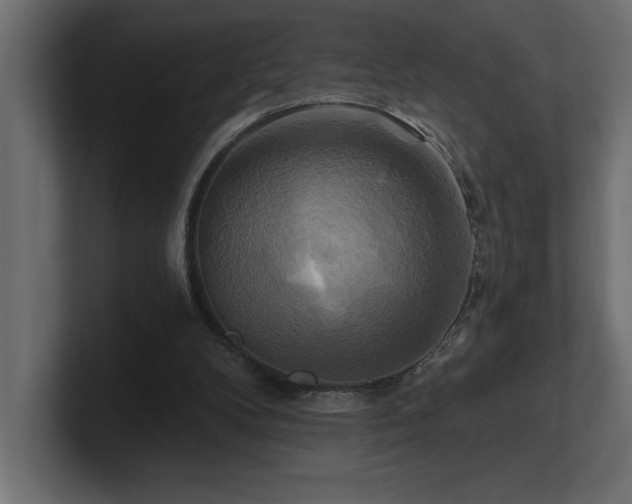 X0000100920104200806241352