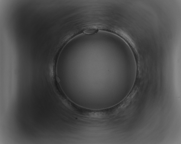 X0000100920105200806241352