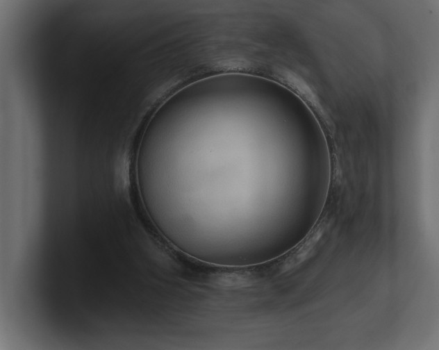 X0000100920106200806241352