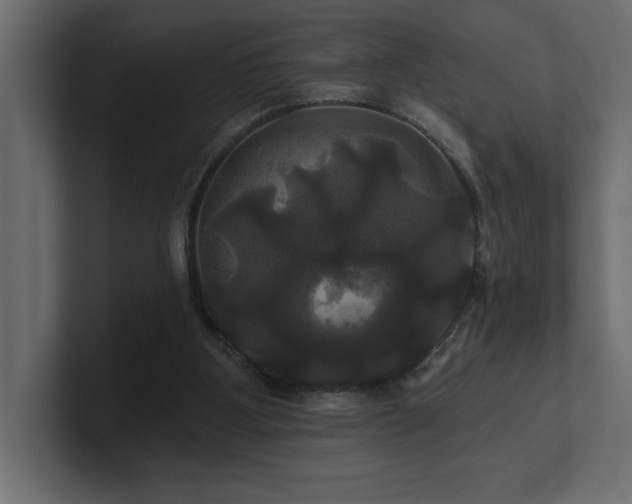 X0000100920107200806241352