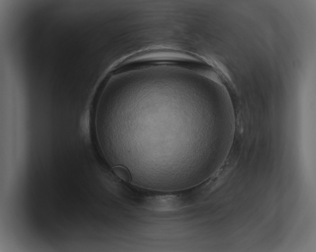 X0000100920108200806241352