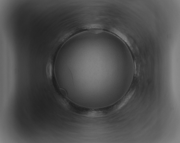 X0000100920109200806241352