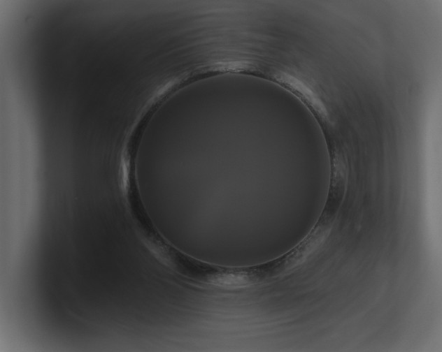 X0000100920110200806241352