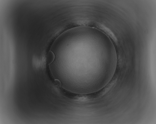 X0000100920113200806241352