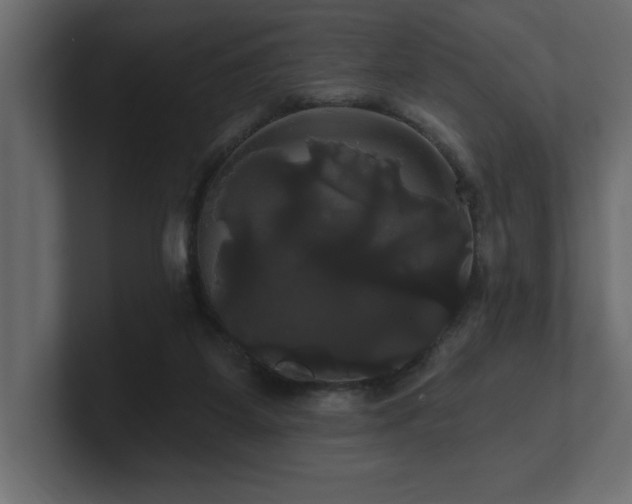 X0000100920115200806241352