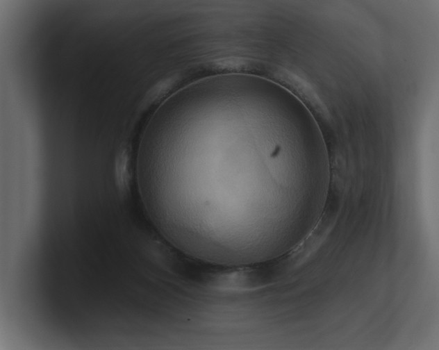 X0000100920116200806241352