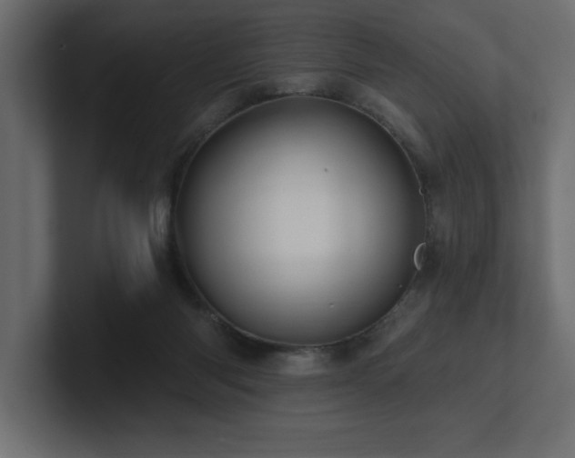 X0000100920118200806241352