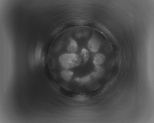 X0000100920119200806241352