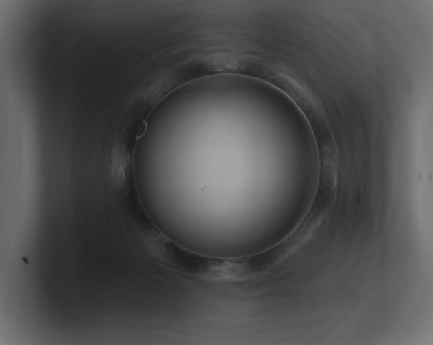 X0000100920125200806241352