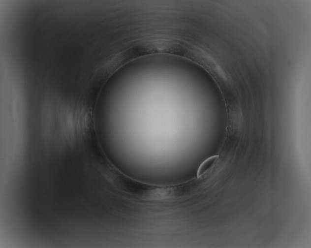 X0000100920126200806241352