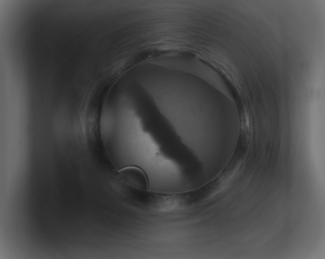 X0000100920127200806241352