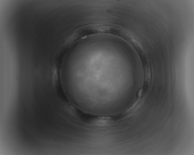 X0000100920128200806241352