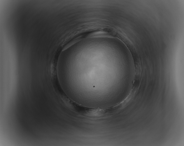 X0000100920136200806241352