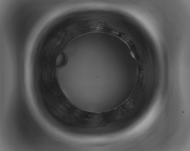 X0000100920143200806241352