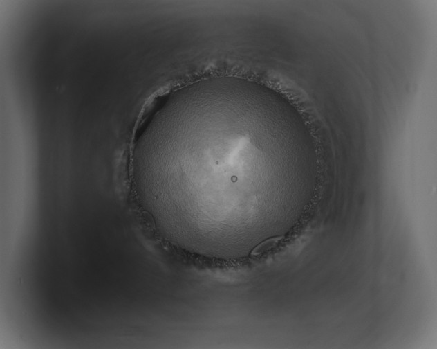 X0000100920144200806241352