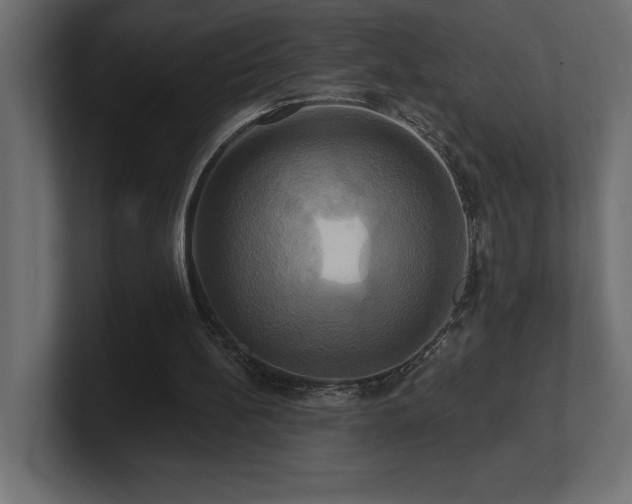 X0000100920148200806241351