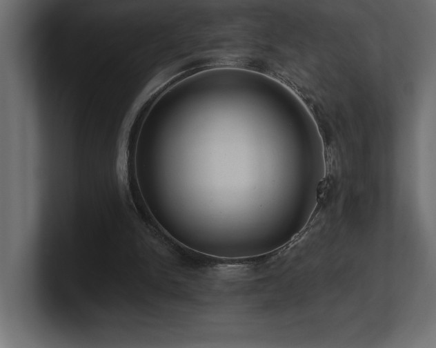 X0000100920150200806241351