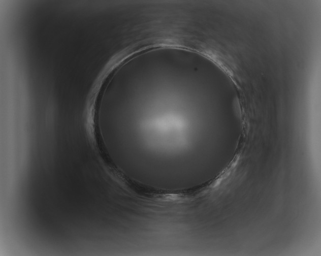 X0000100920151200806241351