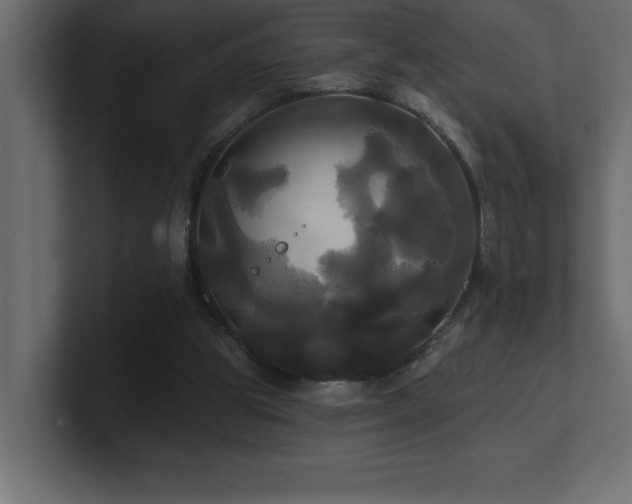 X0000100920153200806241351