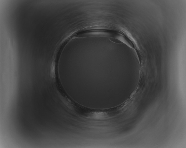 X0000100920154200806241351