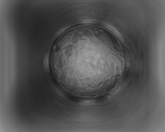 X0000100920155200806241351