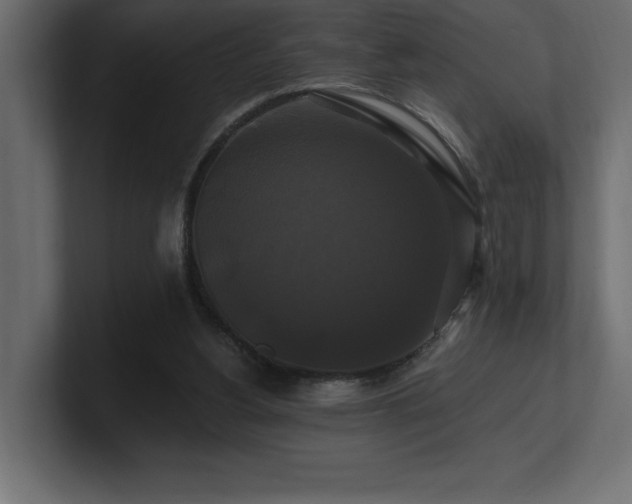 X0000100920156200806241351