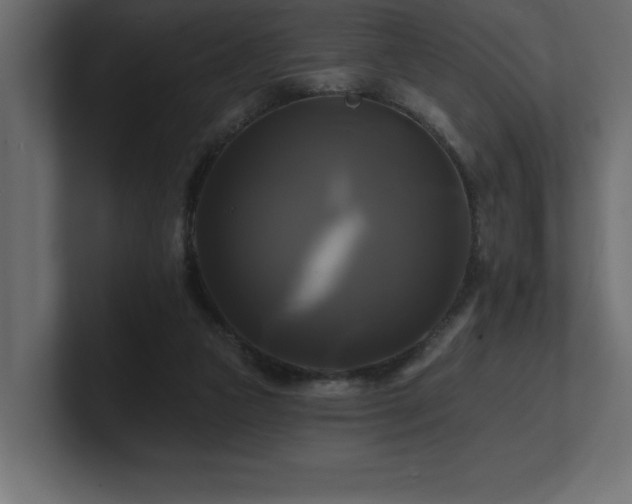 X0000100920161200806241351