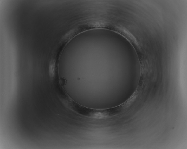 X0000100920163200806241351