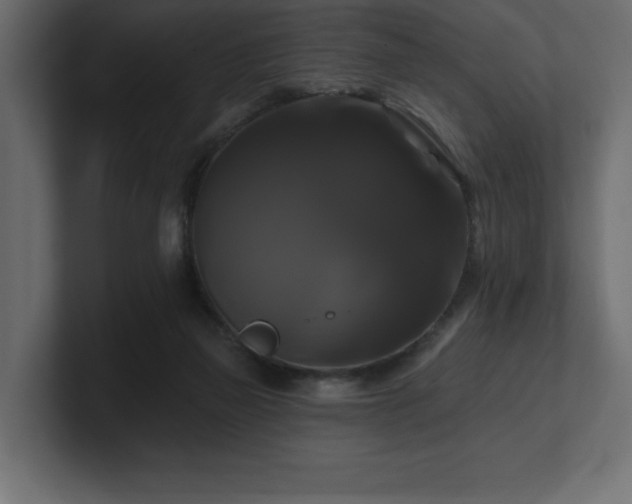 X0000100920165200806241351