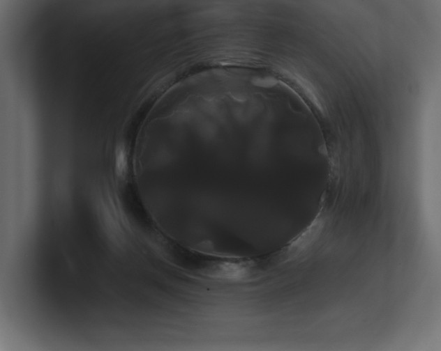 X0000100920166200806241351