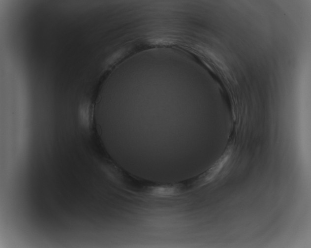 X0000100920168200806241351