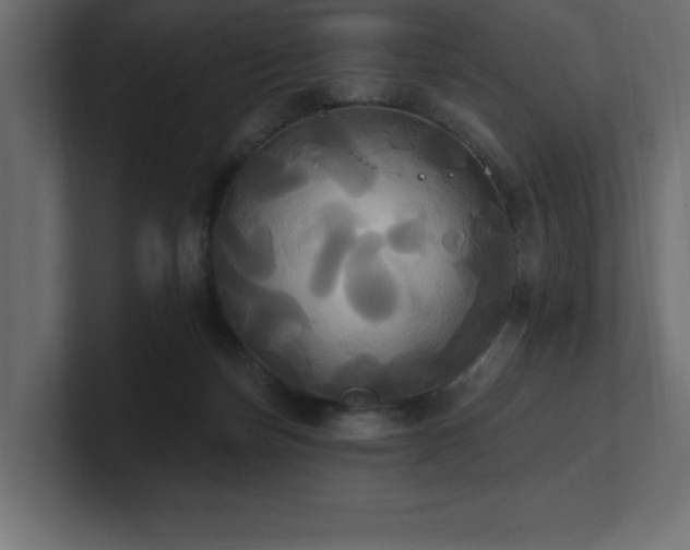 X0000100920171200806241351