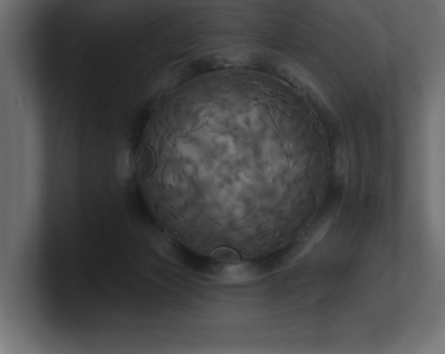 X0000100920173200806241351