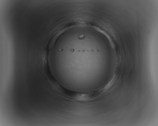 X0000100920174200806241351