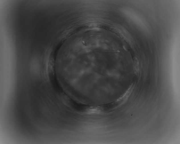 X0000100920175200806241351