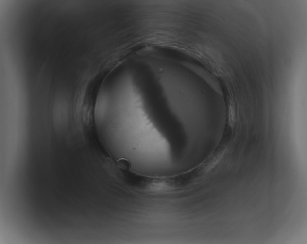 X0000100920177200806241351