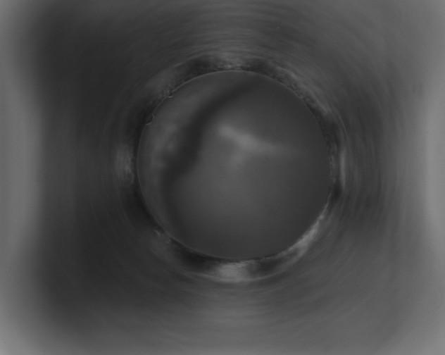 X0000100920178200806241351