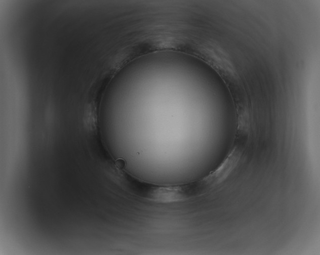 X0000100920179200806241351