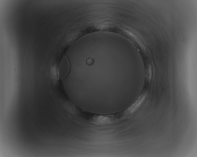 X0000100920180200806241352