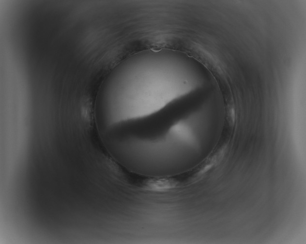 X0000100920181200806241352