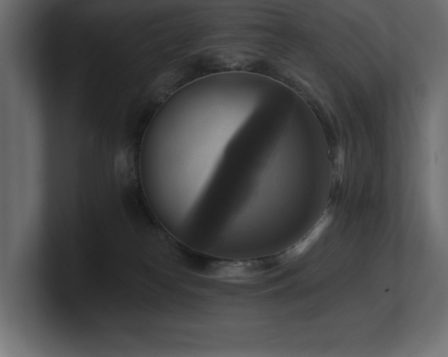 X0000100920182200806241352