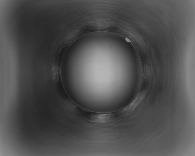 X0000100920184200806241352