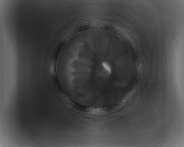 X0000100920185200806241352