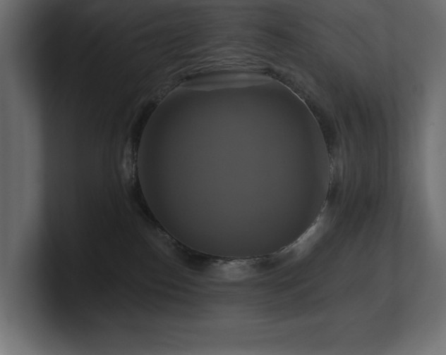 X0000100920186200806241352